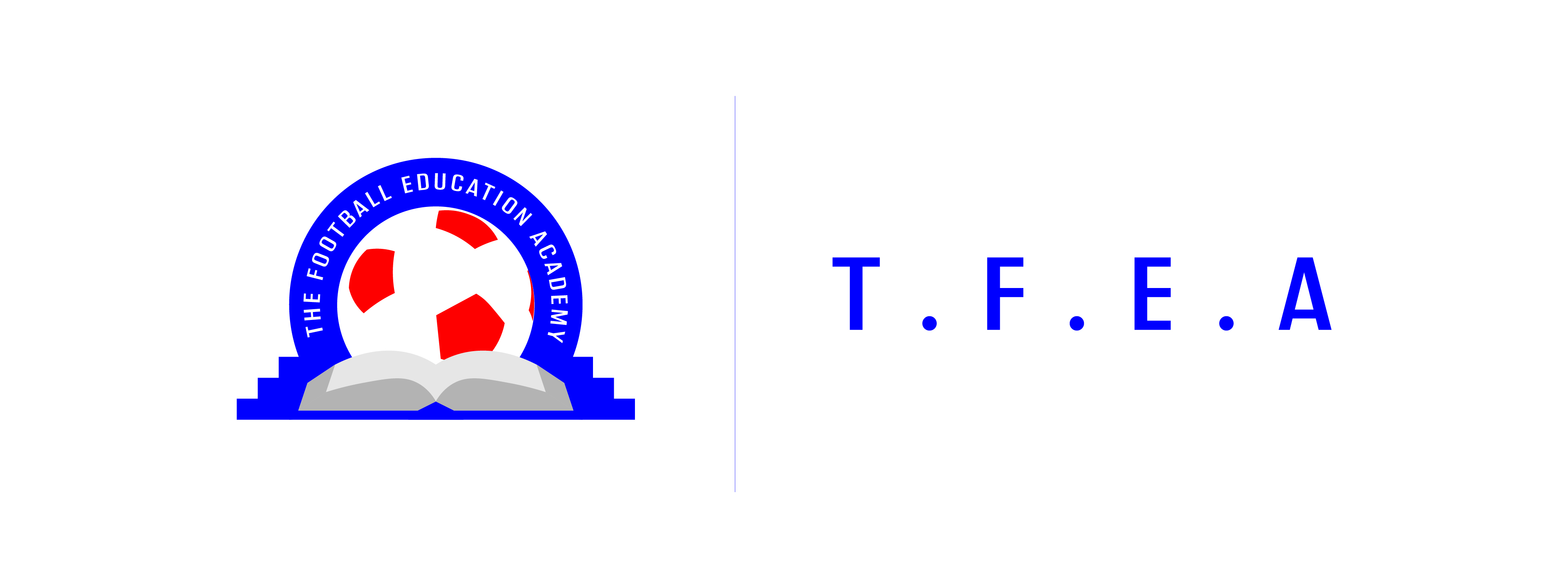 Veo Level Up Your Game