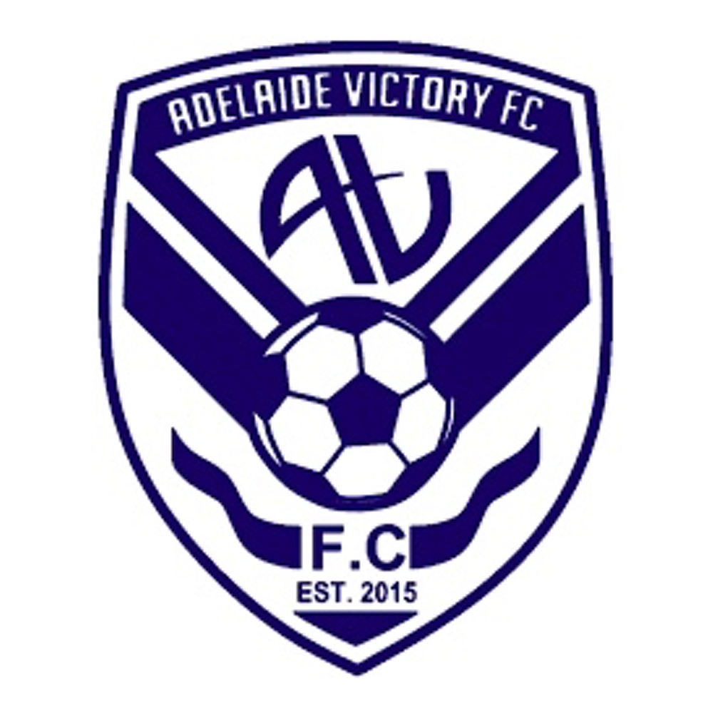 Veo Level Up Your Game