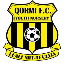 Veo Level Up Your Game