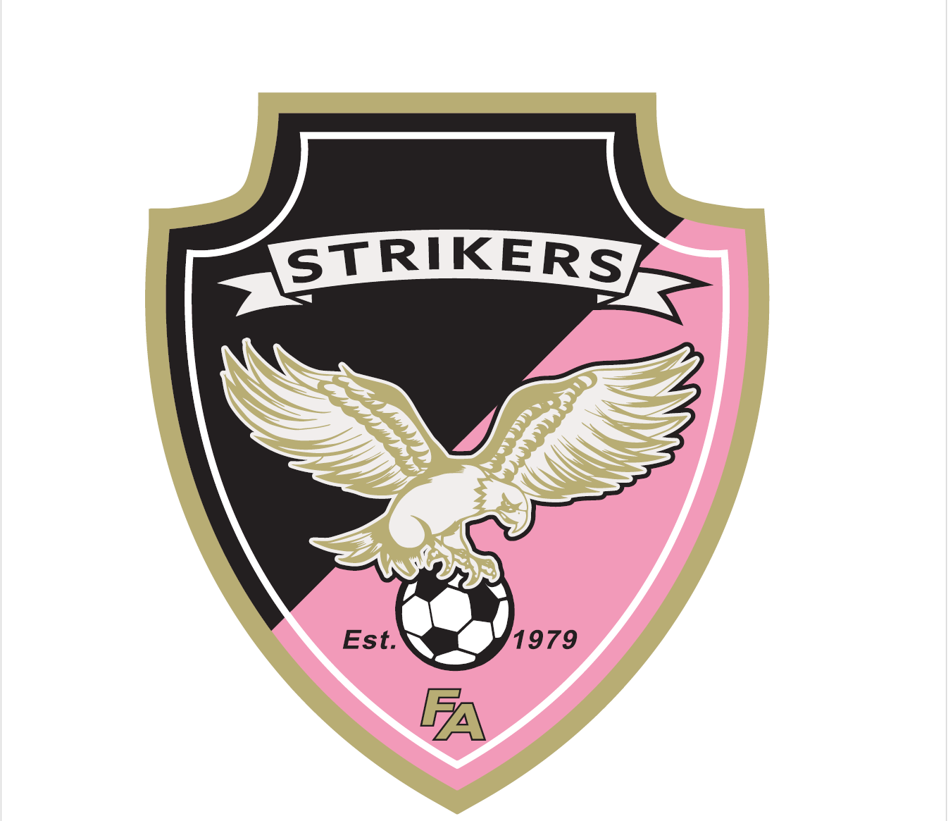 Veo | SH Strikers Strikers Futbol Academy - recordings